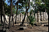 Chichen Itza - The columned patio near the Temple of the Large Tables.