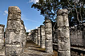 Chichen Itza - Court of the Thousand Columns.