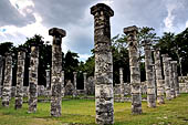 Chichen Itza - Court of the Thousand Columns. The market place. Columns of the inner patio, the tallest of the group.