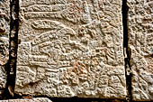 Chichen Itza - Temple of the Panels. Sculptured panels of the south wall of the colonnade, illustrating scenes with personages, animals and plants, both real and imaginary