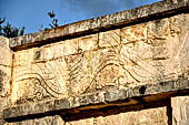 Chichen Itza - The Venus Platform. The tableau on the cornice show plumed serpents with fishes in between the serpent body. Below the representation of the Serpent Bird Man.