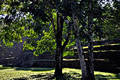 Palenque - The broad stairway which marks the northern side of the Great Plaza.