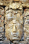 Palenque  - The Palace, remains of stucco bas-reliefs of the Northern stairway, this detail represents a portrait of a ruler.