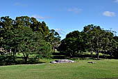 Palenque - The lush, deep forest where the ruins are immersed.