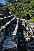 Palenque - The broad stairway which marks the northern side of the Great Plaza.