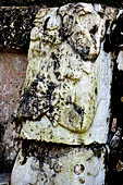 Palenque - The Palace. Patio of the Captives (Patio de los Cautivos), captive image at base of House C the first from left.