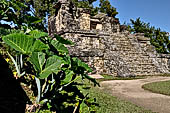 Palenque - Temple XIV.