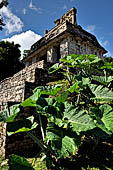 Palenque - Temple of the Sun (Templo del Sol).