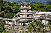 Palenque - View of the Palace from the Temple of the Cross.