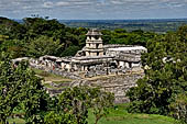 Palenque - View of the Palace from the Temple of the Cross.