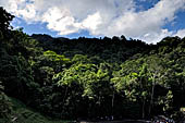 Palenque - The lush, deep forest where the ruins are immersed.