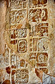 Palenque - Detail of the captions of the panel of temple XIV.