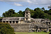 Palenque - The Palace West side, with Casa D on top of the western staircase and the tower. 