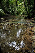 Palenque - the Arroyo Otolum.