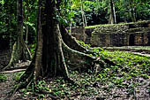 Palenque - the Grupo de Los Murcielagos (Bat Group).