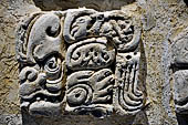 Palenque - The archaeological Museum, stucco glyph of Temple XVIII.