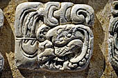 Palenque - The archaeological Museum, stucco glyph of Temple XVIII.