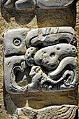 Palenque - The archaeological Museum, stucco glyph of Temple XVIII. 