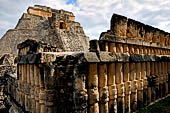 Uxmal - The west face of the  Magician Pyramid (el Adivino) seen from the Quadrangle of the Birds (Cuadrangulo de los Pajaros). 