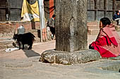 Bhaktapur - Tachupal Tole. Bhimsen Temple. The turtle base of the pillar standing in front of the temple.