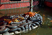 Budhanilkantha - statue of Sleeping Vishnu (Jalasayana Narayan). His crown is never allowed to be seen it is always covered under an accumulation of flowers.