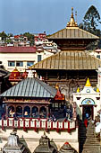 Pashupatinath Temple (Deopatan) - The temple is the specimen of the Nepalese pagoda style, the two tiered roof is covered with copper.