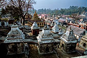 Pashupatinath Temple (Deopatan) - the Ghats viewed from the shivalaya (lingam shelters) on the east bank of the Bagmati.