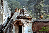 Pashupatinath Temple (Deopatan) - inside the southernmost courtyard of the complex, near the Raj Rajeshwari temple.