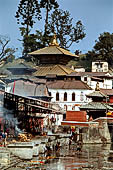 Pashupatinath Temple (Deopatan) - burning places lined along the Ghats of the Bagmati river banks.