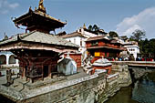 Pashupatinath Temple (Deopatan) - Bachhareshwari (Kali) temple, a little pagoda temple situated between the two bridges over of the Bagmati river.