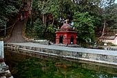 Pools surrounding the Sekh Narayan temple.