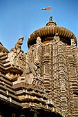 Orissa - Bhubaneshwar, Ananta Vasudeva temple, the deul.