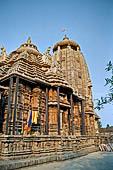 Orissa - Bhubaneshwar, Ananta Vasudeva temple.