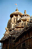 Orissa - Bhubaneshwar, Ananta Vasudeva temple.