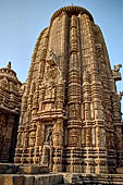 Orissa - Bhubaneshwar, Ananta Vasudeva temple, the deul.