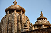 Orissa - Bhubaneshwar, Ananta Vasudeva temple, the amalaka  the ribbed circular stone at the top of the deul and of the jagamohan.