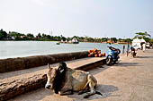 Orissa - Bhubaneswar, Bindu Sagar the large devotional tank.