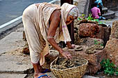 Orissa - Bhubaneswar, collecting cow dug near the Vaital Deul.