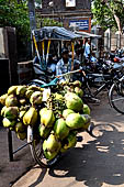 Orissa - Bhubaneswar, pilgrims, mendicants and colourful stalls near Lingaraja.