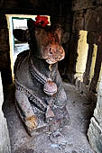 Orissa Rayagada district - Shiva temple. Nandi Bull.