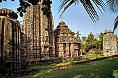 Orissa - Bhubaneswar, Chitrakarini Temple. General view of the complex.