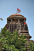 Orissa - Bhubaneswar, Chitrakarini Temple. The deul.