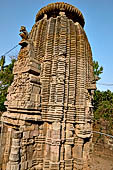 Orissa - Bhubaneswar, Chitrakarini Temple. The deul.