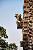 Orissa - Bhubaneswar, Chitrakarini Temple. The deul.