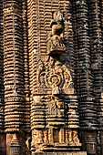 Orissa - Bhubaneswar, Chitrakarini Temple. Bho decorative motifs of the deul.