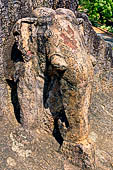 Orissa - Bhubaneswar - Dhauli, the carved elephant above Ashoka edict.