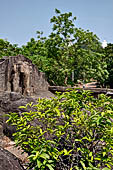 Orissa - Bhubaneswar - Dhauli, the carved elephant above Ashoka edict.