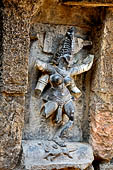 Hirapur - the Sixtyfour Yoginis Temple, Yogini n 40 (clockwise), four armed armed beautiful figure mounting on a scorpion.