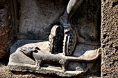 Hirapur - the Sixtyfour Yoginis Temple, detail of the mount of Yogini n 42 (clockwise) two wheels and a mongoose.