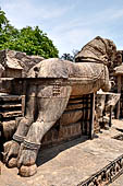 Konarak - Orissa. The Sun Temple, the rests of the seven horses at the sides of the eastern stair case leading to the main temple entrance. 